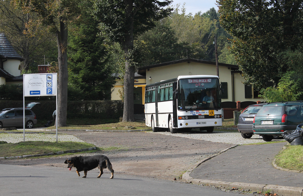 Van Hool T815CL #DWL 95MH