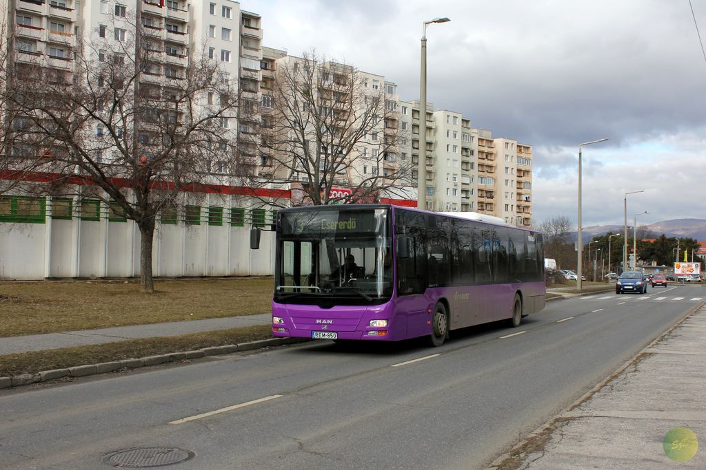 MAN NL263 Lion`s City #REM-850