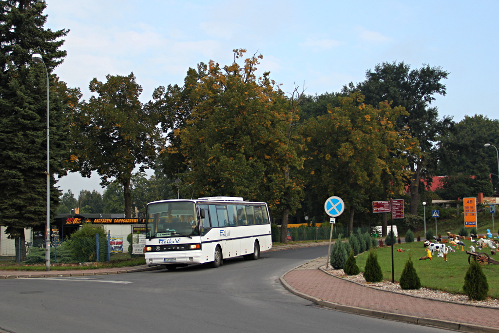 Setra S215 UL #FZA 03536