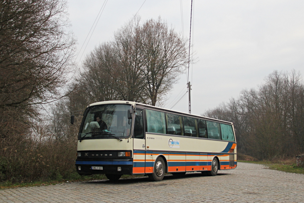 Setra S213 HM #DWL F401