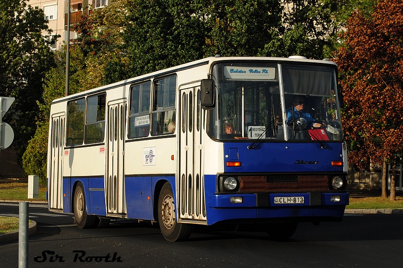 Ikarus 260.02 #CLH-813